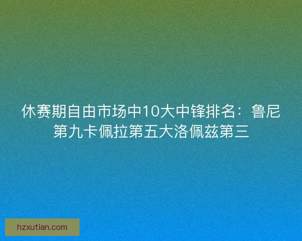 休赛期自由市场中10大中锋排名：鲁尼第九卡佩拉第五大洛佩兹第三